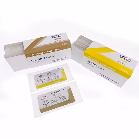 Absorbable Monofilament Pdo Surgical Sutures with Sharp Needle