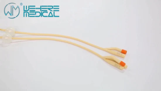 Disposable Sterile 2 Way 3 Way Latex Foley Urinary Catheter From 6fr to 26fr Medical Use